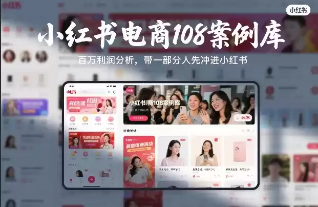 小红书电商108案例库，百W利润分析，带一部分人先冲进小红书【文档】-鑫梵淘