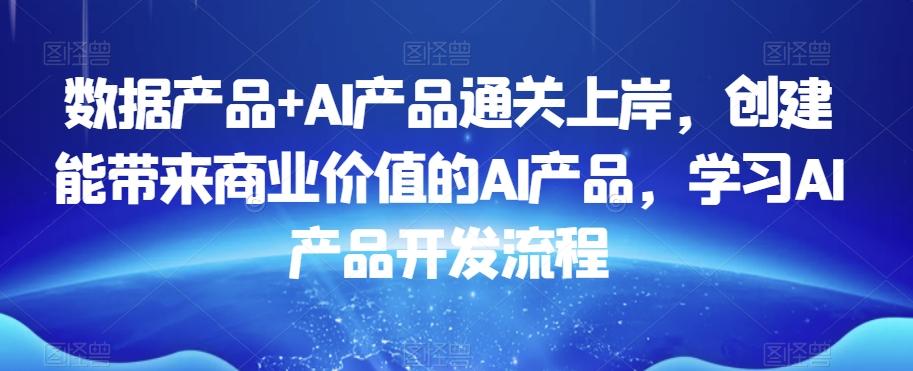 数据产品+AI产品通关上岸，创建能带来商业价值的AI产品，学习AI产品开发流程-鑫梵淘