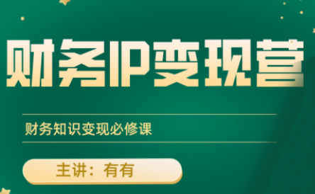 有有老师·财务IP变现营，财务知识变现必修课-鑫梵淘